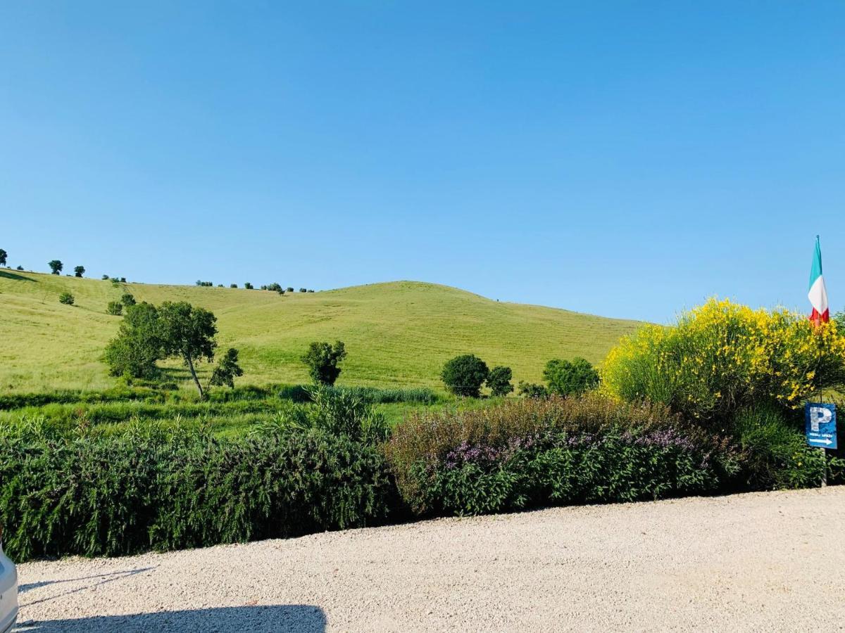 8380 Agriturismo L'Oleandro Montemerano Bagian luar foto