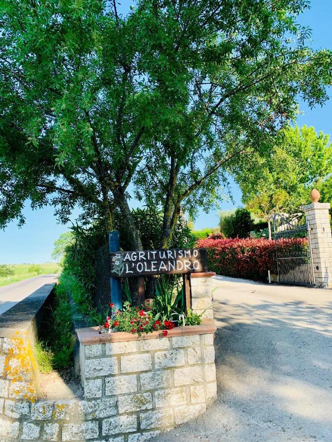 8380 Agriturismo L'Oleandro Montemerano Bagian luar foto